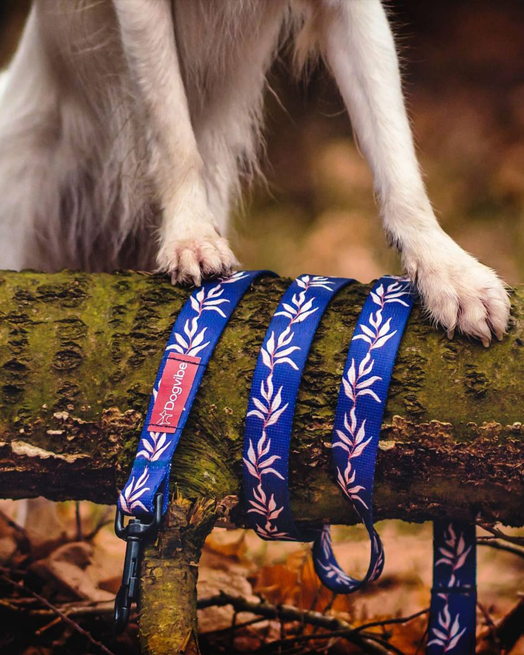 BOTANIQUE SMYCZ DOGVIBE